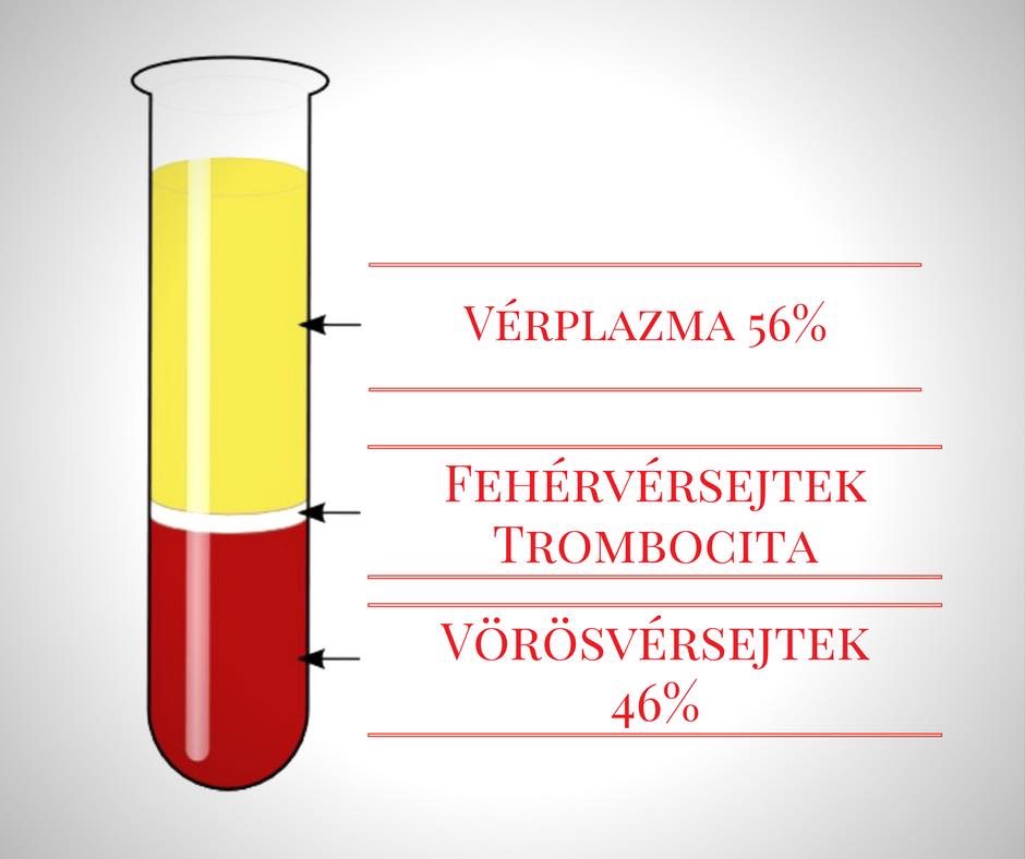 A vér fő alkotóelemei, kiemelve a fehérvérsejteket