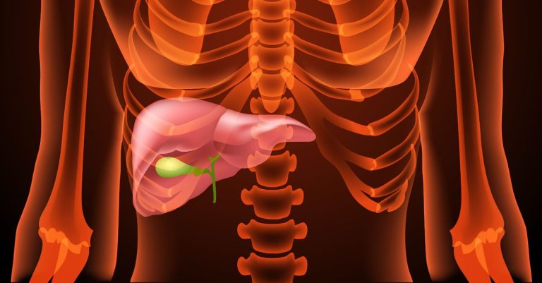 Hepatitis szűrés laborvizsgálattal – vérvétel és máj illusztráció