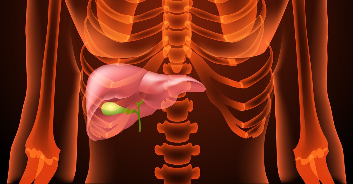 Hepatitis szűrés laborvizsgálattal – vérvétel és máj illusztráció