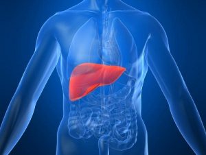 Májfunkciós laborvizsgálatok – ALT, AST és GGT értékek